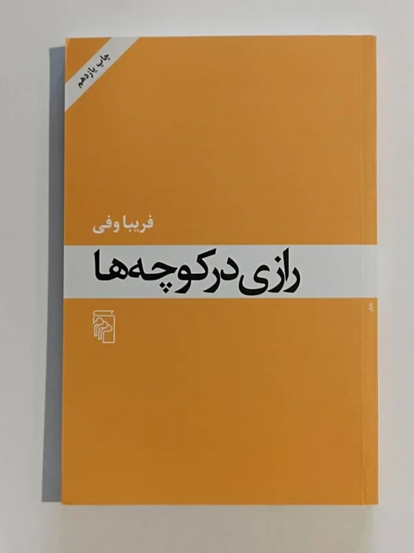 کتاب رازی در کوچه ها نویسنده فریبا وفی