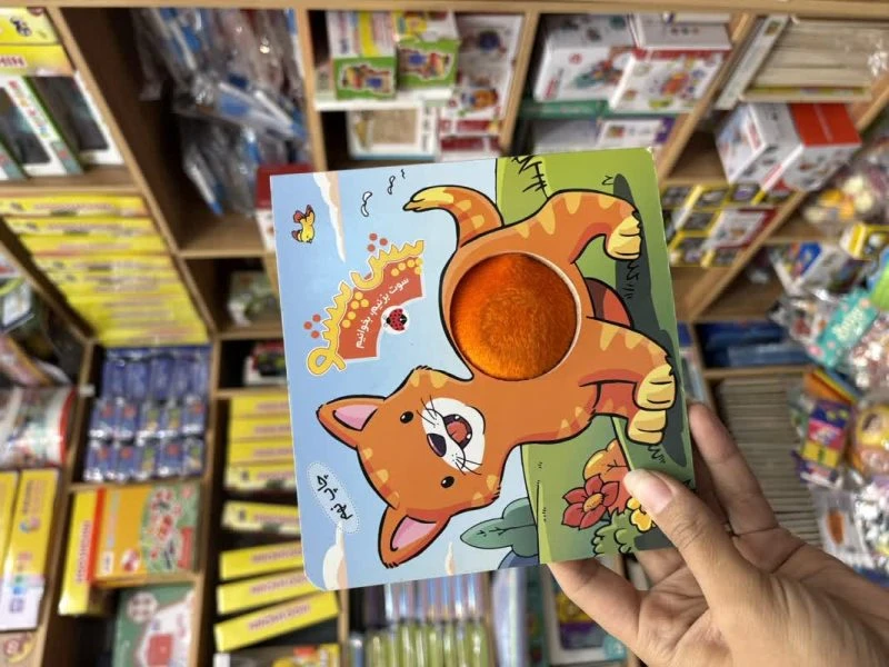 کتاب سوتکی پیشی