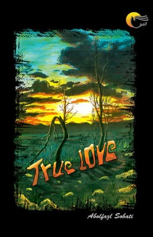کتاب شعر true love (عشق حقيقي)