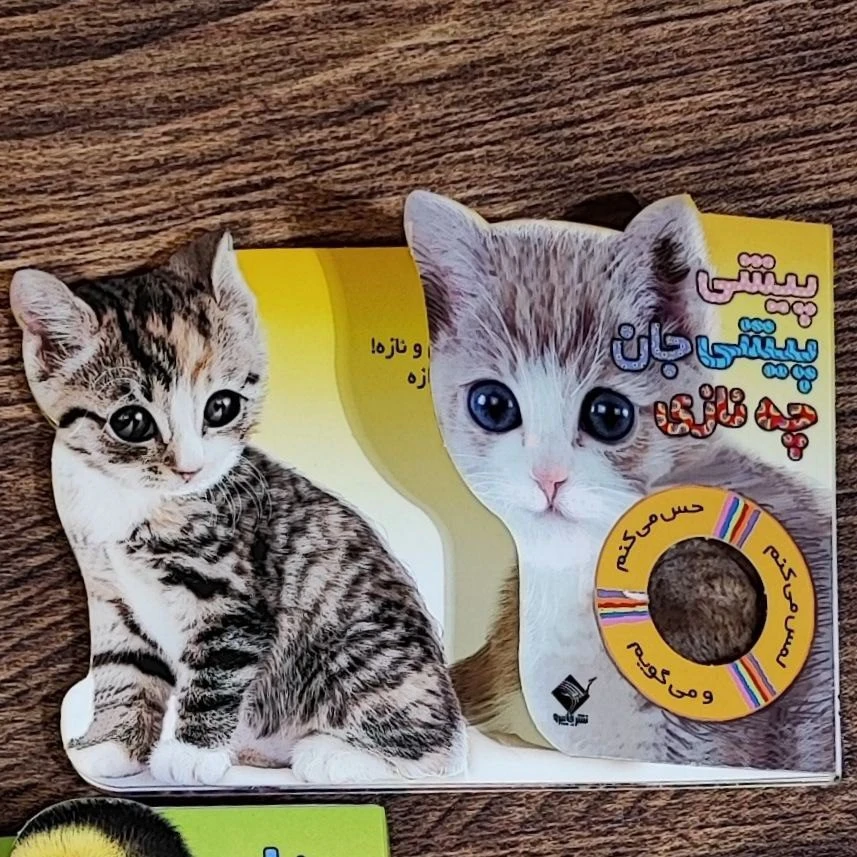 کتاب لمسی حس میکنم گربه