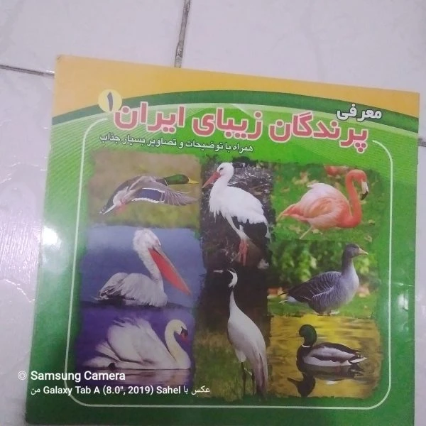 کتاب معرفی پرندگان زیبای ایران ۱