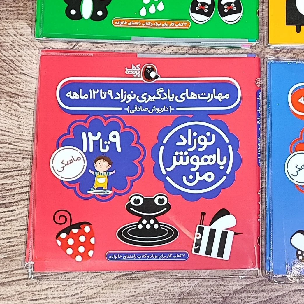 کتاب مهارتهای یادگیری9تا12ماه