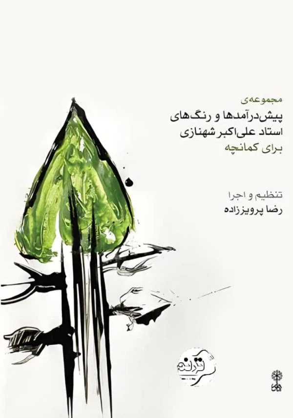 کتاب پیش درآمدها و رنگ های شهنازی برای کمانچه