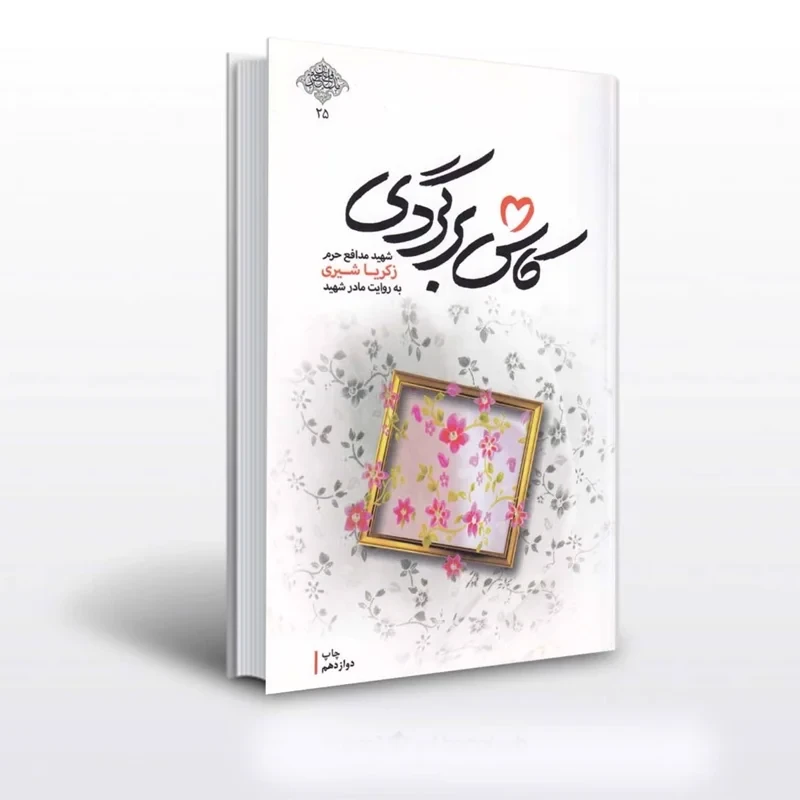کتاب کاش برگردی نویسنده محمدرسول ملاحسنی