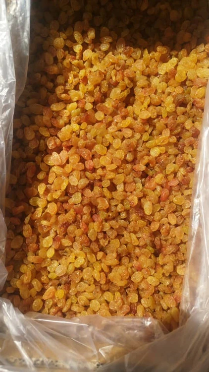کشمش سوپرگلدن ملکان