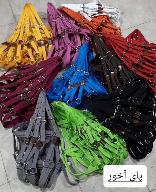 کلگی اسب (Halter) اقتصادی مدل آموزشی | مناسب استفاده روزمره
