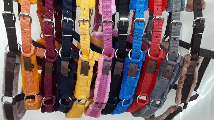 کلگی اسب (Halter) خزدار اقتصادی | راحتی و ایمنی برای اسب