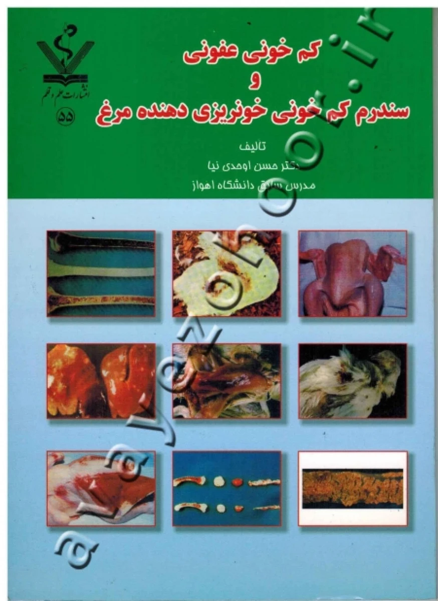 کم خونی عفونی و سندرم من خونی خونریزی دهنده مرغ / حسن اوحدی نیا