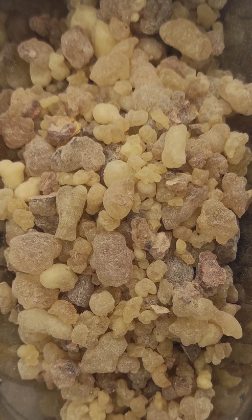 کندور خوراکی طبیعی دانه گیاهی