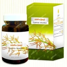اوابوست بانوان 120 عددی
