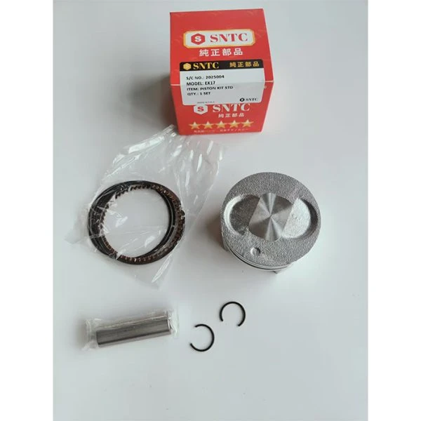 کیت پیستون کامل STD (رینگ و گژن پین) موتور روبین EX17