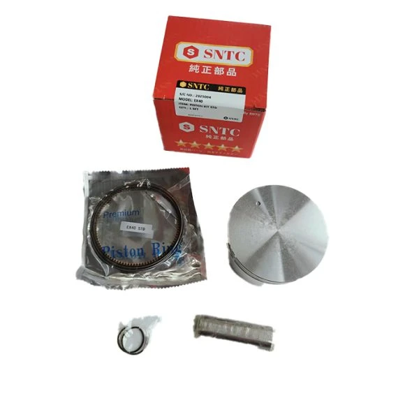 کیت کامل پیستون به همراه رینگ STD موتور روبین EX40 (کیفیت عالی)