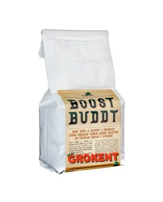 کیسه CO2 بوست بادی Boost Buddy