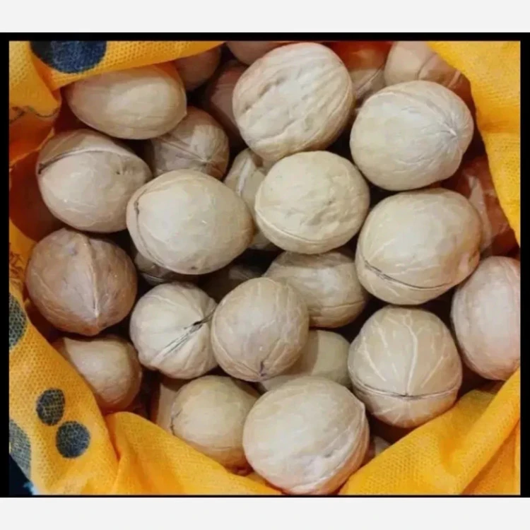 گردوی وارداتی بسیار عالی و درجه یک