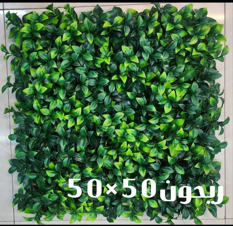 گرین وال ریحان - ابعاد 50*50 - ابعاد 50*50