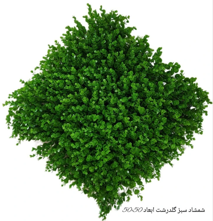 گرین وال شمشاد سبز گل درشت - ابعاد 50*50