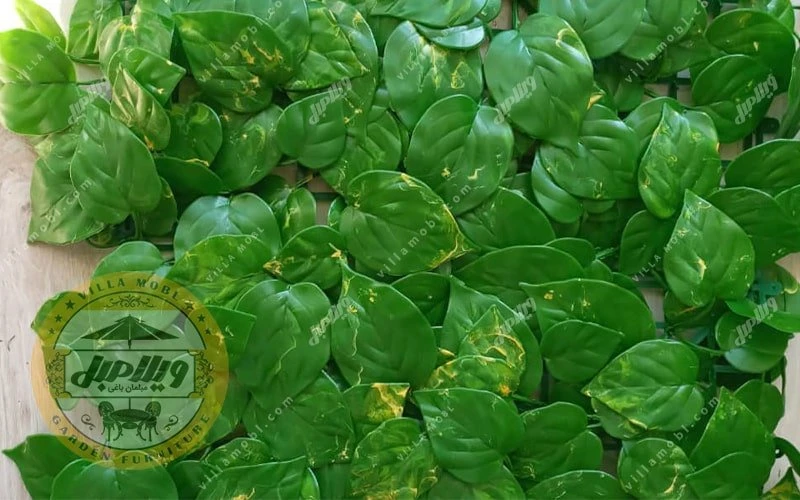 گرین وال و دیواره سبز مدل پتوس زرد