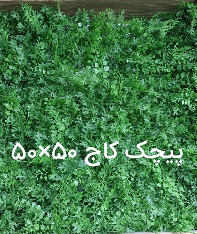 گرین وال پیچک کاج - ابعاد 50*50
