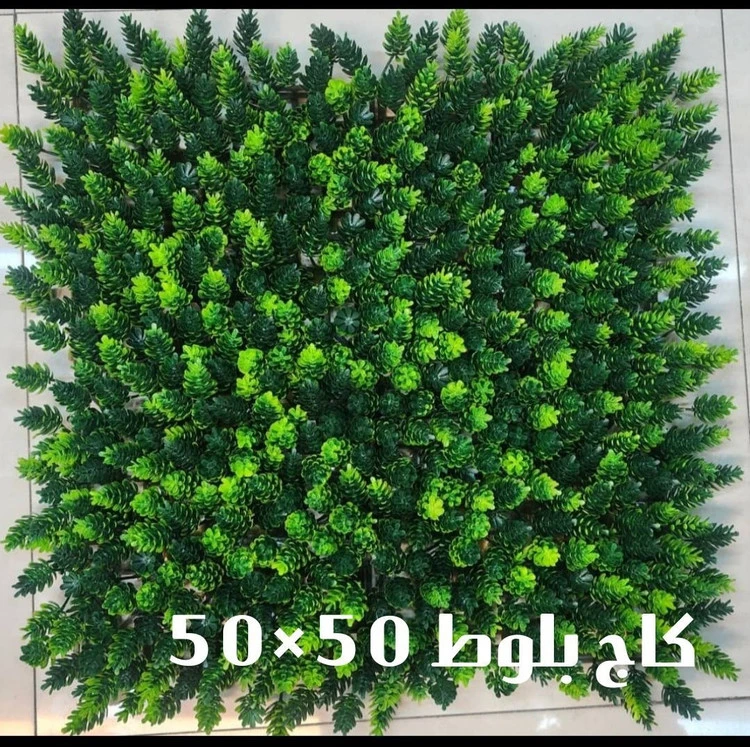 گرین وال کاج بلوط - ابعاد 50*50