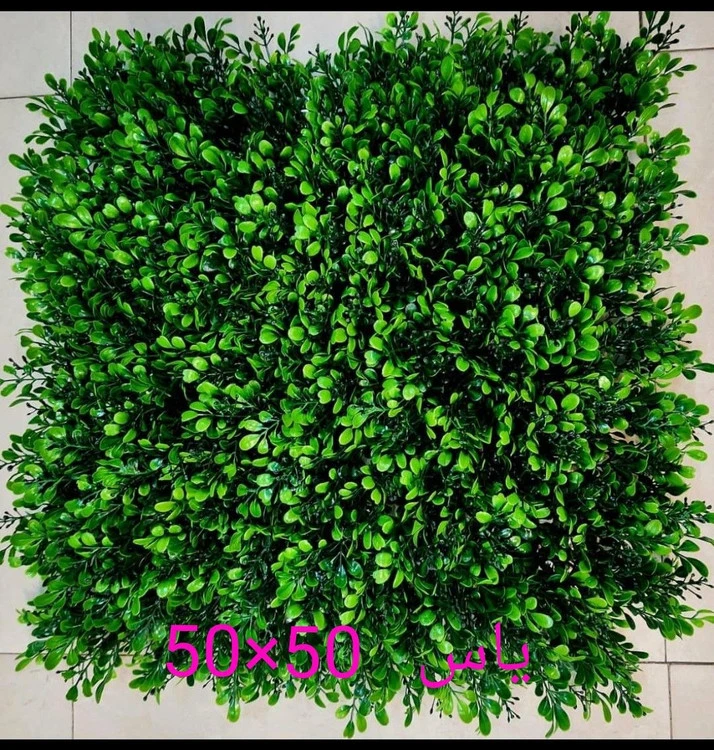 گرین وال یاس - ابعاد 50*50