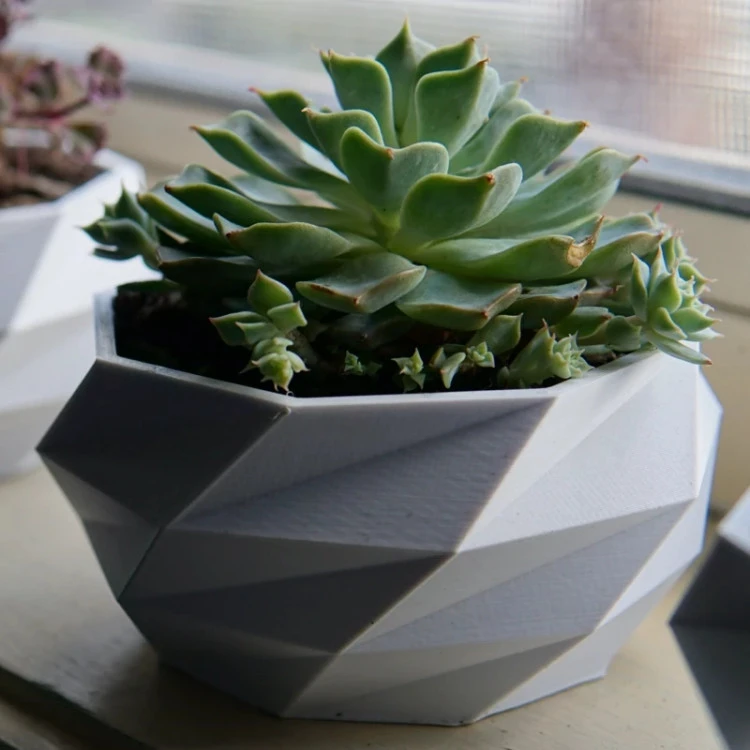 گلدان Low Poly Planter