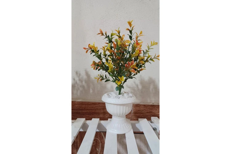 گلدان بوته اناری پاییزی