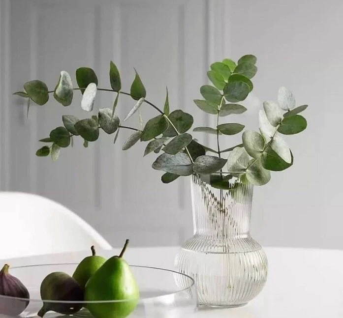 گلدان شیشه ای اوکیا