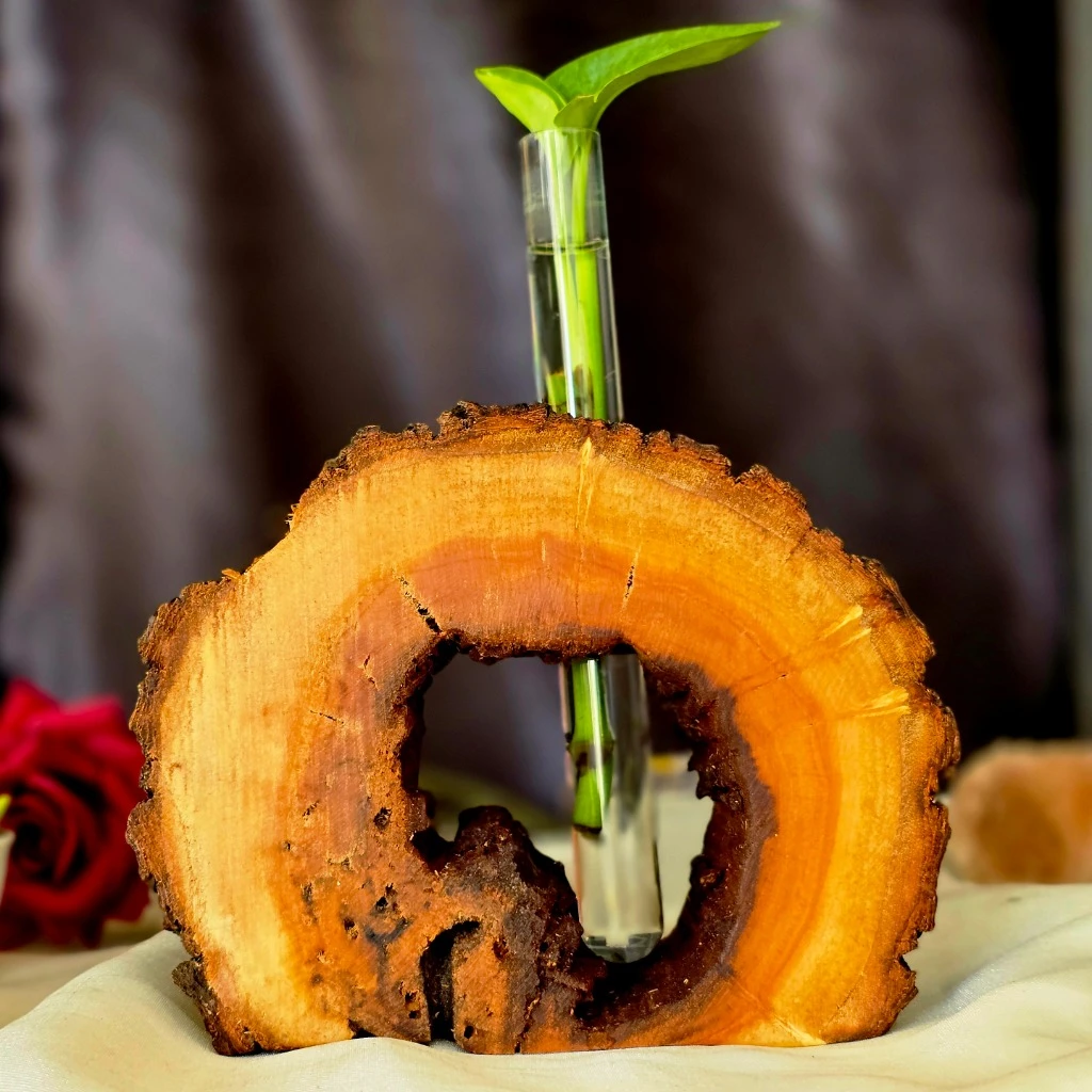 گلدان چوبی طبیعی مدل CHO3