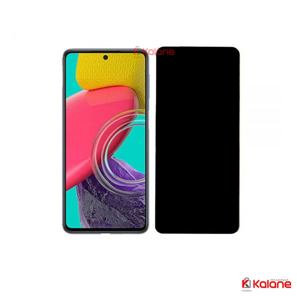 گلس گوشی Xiaomi 12 Pro حریم شخصی