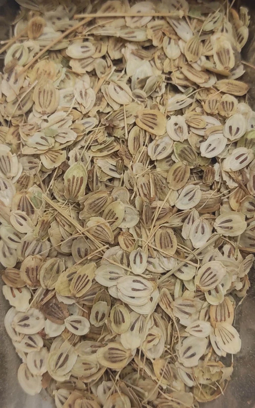 گلپر ناساب تمیز بومی ادویه معطر