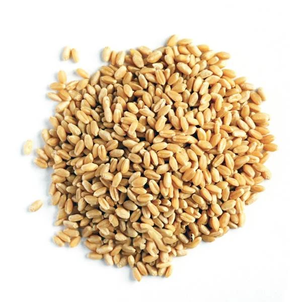 گندم با پوست 1000گرم