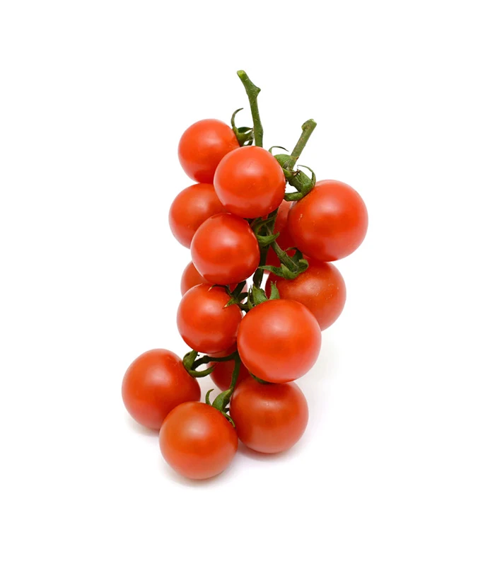 گوجه فرنگی کوچک