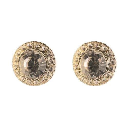 گوشواره میخی نگین دار برند Accessories