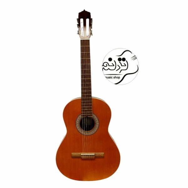 گیتار پارسی M6