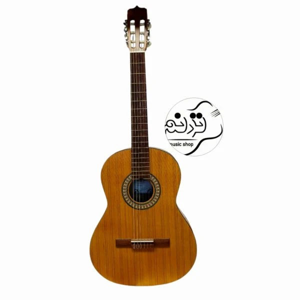 گیتار پارسی P70