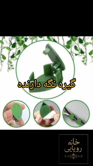 گیره نگه‌دارنده پتوس