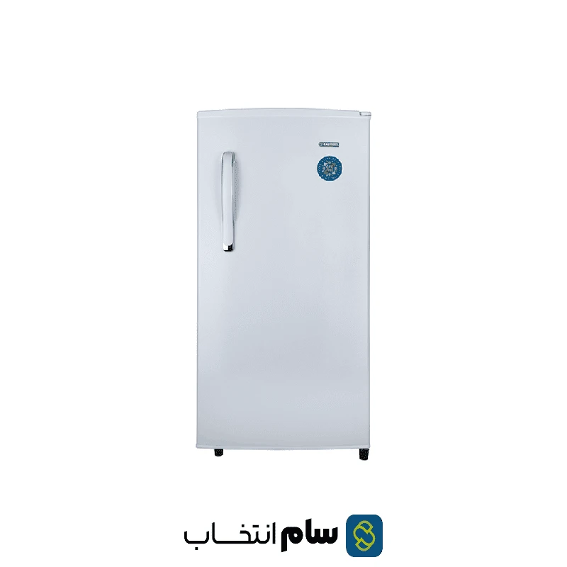 یخچال فریزر ایستکول مدل TM-919