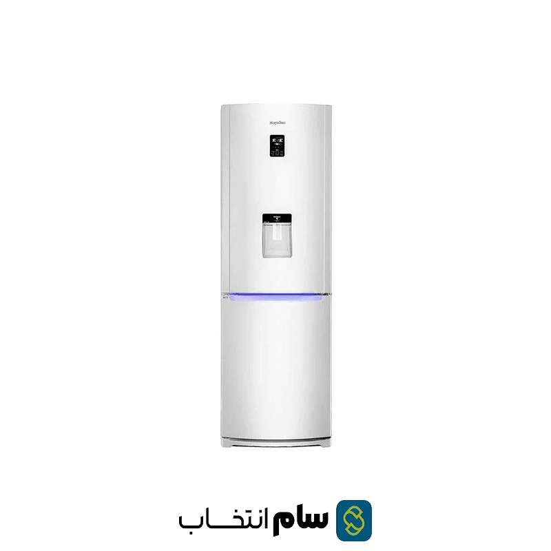 یخچال و فریزر دیپوینت مدل C5W