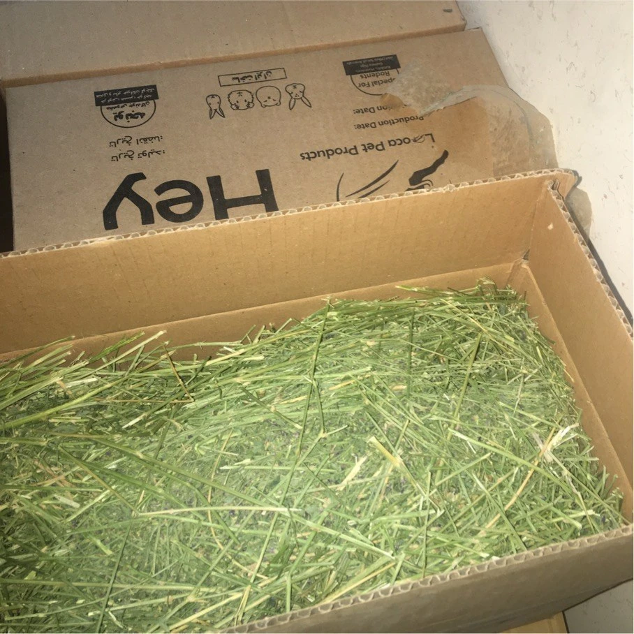 یونجه جوندگان 1 کیلوگرم لوکاپابلو