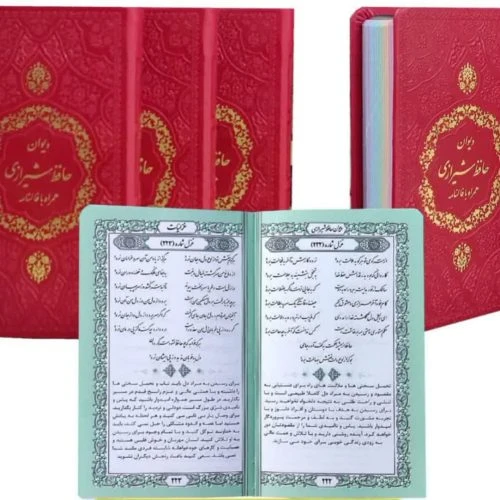 ۱۲۵۵۱۵-حافظ پالتویی چرم رنگی داخل رنگی با فالنامه